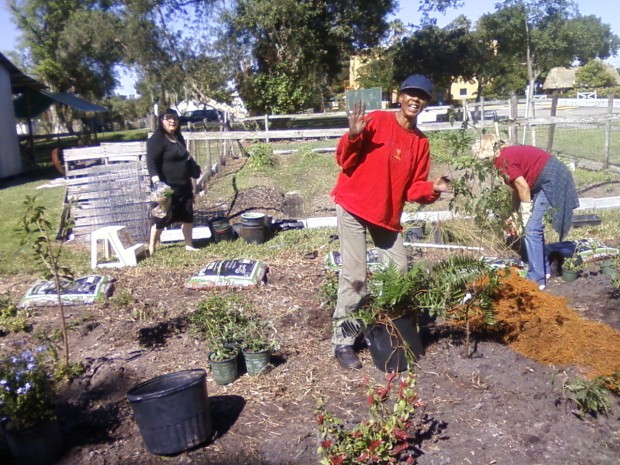 Residents restoring native plants in Davie, Florida. 