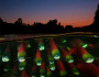 Migrating Sockeye Salmon at Night. Photo by David Hall. 2012 National Wildlife Photo Contest winner.