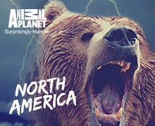 North America Animal Planet