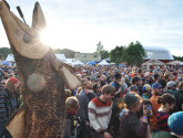 salmonstock_2012_crowd