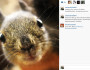 wildlifeselfies