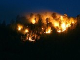 Dean Peak Wildfire, Arizona (Bureau of Land Management/Herberta Schroeder)