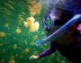 Snorkeler comes face to face with a jellyfish. Photo by Bill Lamp'l. 2012 National Wildlife Photo Contest winner.