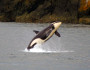 National Wildlife Photo Contest by Daniel Dennis.