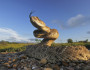 By shooting close to the ground, photographer Rolf Nussbaumer Western Diamondback Rattlesnake image is larger than life!