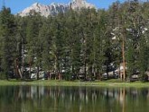 SeqouiaNationalPark_MattHonan_219x219