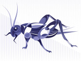 _mwm_cricket_1