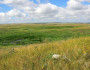 Photo courtesy Tom Koerner, US Fish and Wildlife Service