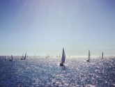 Gosport Regatta sailors racing toward the Isles of Shoals