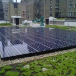 Regis High Shool solar installation. Photo: Greensulate