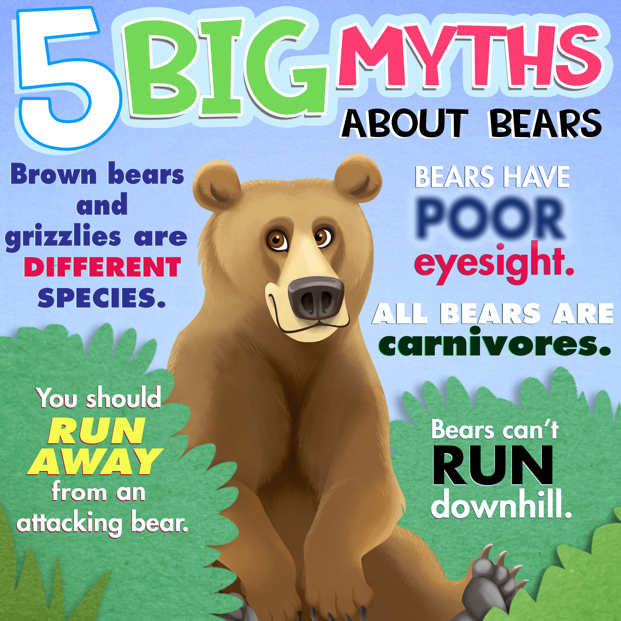 Why Bears? 
