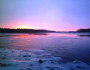 Marshy_Hope_Creek-Rachel_Dawson