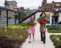Students collect herbs on PS 41′s greenroof in Manhattan. Photo: Megan Westervelt