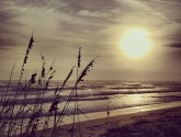 sunrise in Ormond