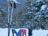 Snowshoes