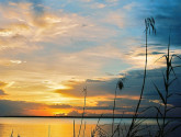 vertical Apalachicola Bay_Flickr_McClammalIV