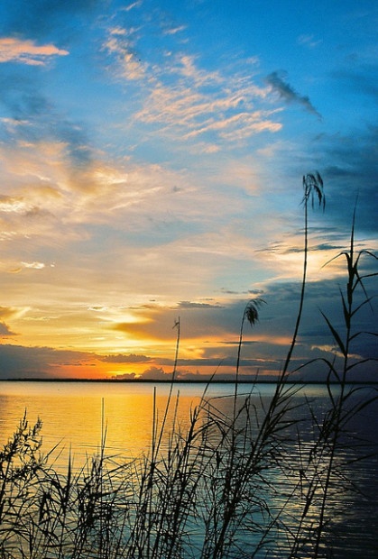 vertical Apalachicola Bay_Flickr_McClammalIV