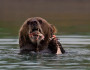 Photo donated by National Wildlife Photo Contest entrant Sara Lopez.