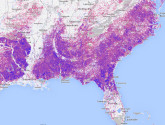 Intensive plantation forestry, among other land uses, appears as a dense mixture of forest loss (in red) and regrowth (blue) in the Southeastern U.S. Screen capture from GFW.
