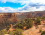 Wedding Canyon, in Colorado National Monument. Photo donated by National Wildlife Photo Contest entrant Carolyn Malone.