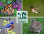 Garden Quiz
