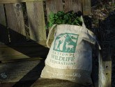 garlic mustard in an NWF bag