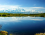 Denali National Park by Stokes Clarke