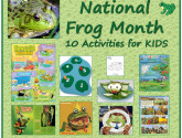 10 frog activities for National Frog Month