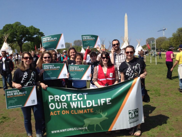 The NWF team speaking up for wildlife at the Reject and Protect rally