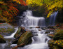 Photo donated by National Wildlife Photo Contest entrant Tim Wolcott.