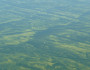 Pg3-HAB-PeleeIsland-LakeErie(GLERL-Photogallery-T-Archer090409)