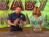 Baby-Animals-David_Miz-Wendy_Williams