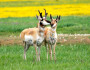 DSC_0828 - Version 2