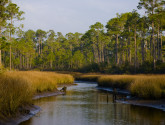 Grant Bay NWR - USFWS - FlickR