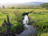 Headwaters of the Little Blackwater River. Flickr photo by Ken Sturm/USFWS.
