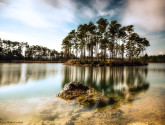Wildlife and Americans alike depend on clean air and water. This photo of Long Pine Lake at mid morning was donated by National Wildlife Photo Contest entrant Gema Saiz.