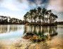 Wildlife and Americans alike depend on clean air and water. This photo of Long Pine Lake at mid morning was donated by National Wildlife Photo Contest entrant Gema Saiz.
