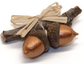 acorn_bronze_250x167_NWF