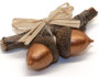 acorn_bronze_250x167_NWF