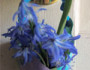 maybasket_elizabeth_scholl_150x334