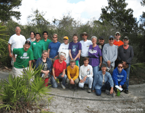 To keep the sand pine scrub in a healthy state for its unique flora and fauna staff has an annual volunteer habitat restoration and cleanup. Photo from City of Oakland Park.