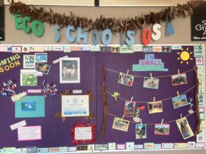 Eco-Schools bulletin board