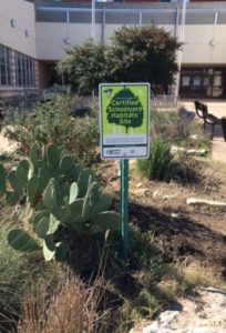 Small Green Tech Academy's Certified Schoolyard Habitat