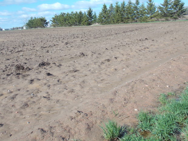 Heavy tilled soil
