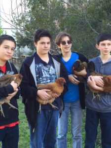 Students and their chickens