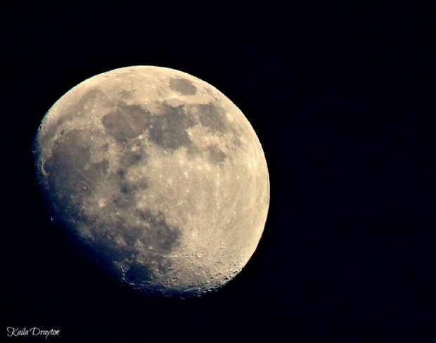 Moon over Assateague by Kaila Drayton.