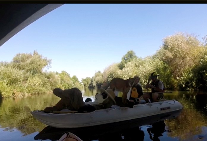 Urban Wildlife: Ranger Rick and P22 Kayak the LA River - The National  Wildlife Federation Blog