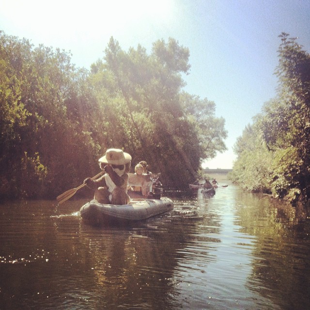 Urban Wildlife: Ranger Rick and P22 Kayak the LA River - The National  Wildlife Federation Blog