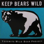 logo bears