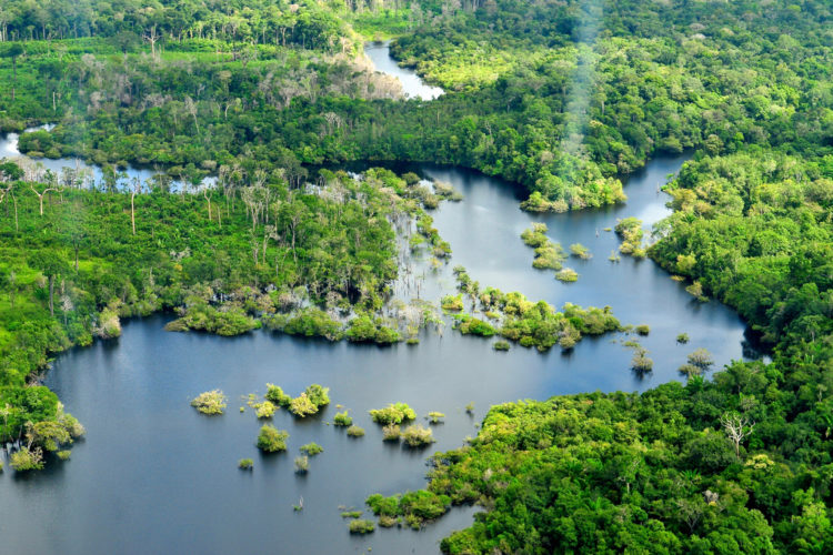 Aerial view of the Brazilian Amazon. Photo by Neil Palmer, CIAT for Center for International Forestry Research
